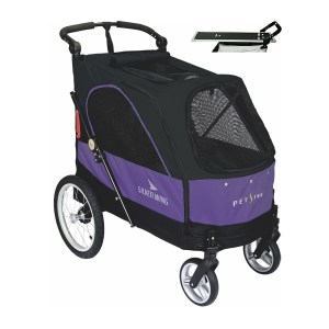 Buggy 4 Extra Luxe L Viola
